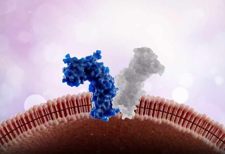 Slidekit Mec accion lebrikizumab