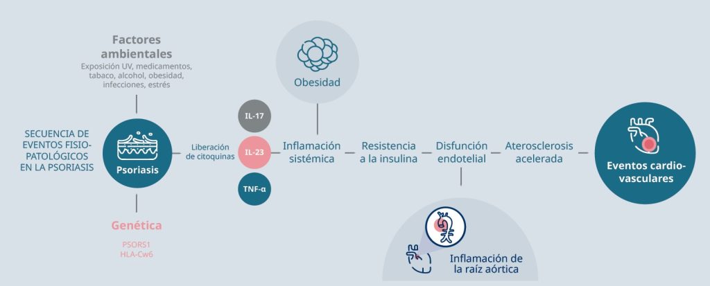 El efecto dominó de la psoriasis 1 Fig 1 Secuencia de eventos fisiopat. en la psoriasis