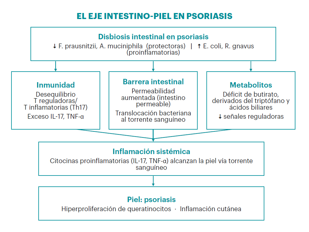 Dermatoday: edición 2, 2026 1 Figura1 Derma Today 2026 ed2